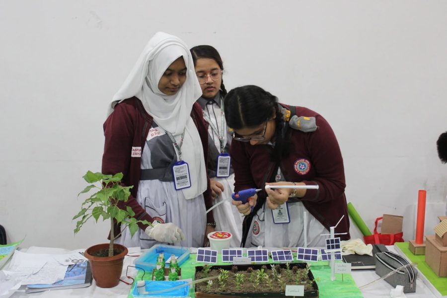 6th Intra Science Festival, photo 15